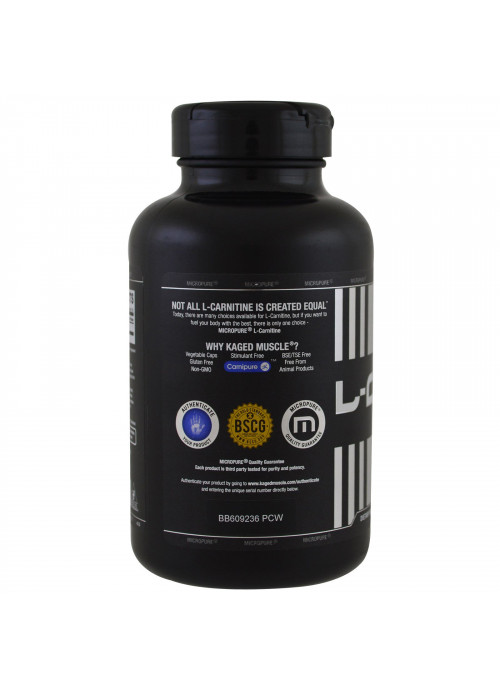 Kaged Muscle, L-Carnitine, 250 Vegetable Capsules