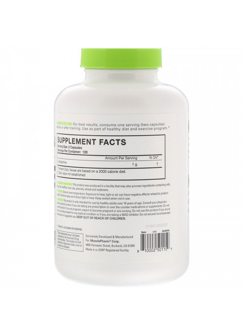 MusclePharm, Essentials, Glutamine, 240 Capsules