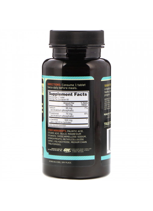 Optimum Nutrition, L-Carnitine, 500 mg, 60 Tablets