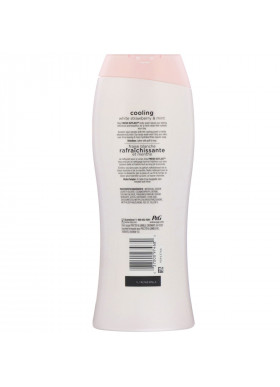 Olay, Fresh Outlast Body Wash, Cooling White Strawberry & Mint, 22 fl oz (650 ml)