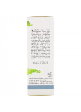European Soaps, Pre De Provence, Shea Butter Foot Cream, Peppermint, 2.5 fl oz (75 ml)