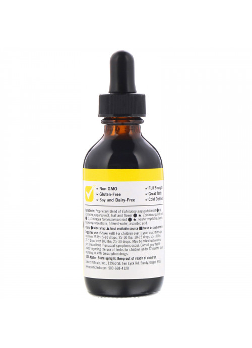 Eclectic Institute, Kids Herbs, Echinacea Premium Blend, Blackberry Flavor, 2 fl oz (60 ml)