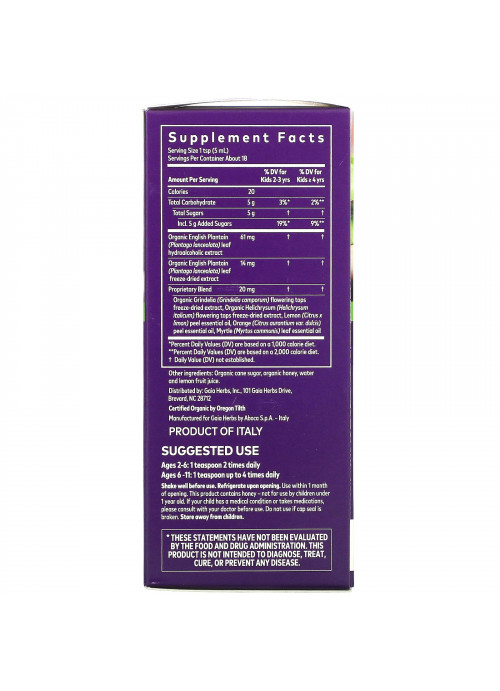 Gaia Herbs, Bronchial Wellness Syrup for Kids, 3 fl oz (89 ml)