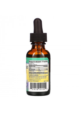 Herbs for Kids, Astragalus Extract, 1 fl oz (30 ml)