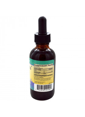 Herbs for Kids, Sweet Echinacea, 2 fl oz (59 ml)