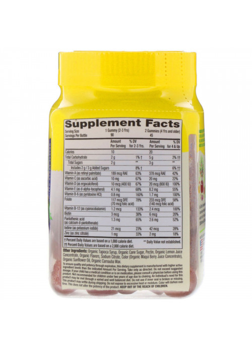 L'il Critters, Organic Complete Multi, Mixed Berry Flavor, 90 Vegetarian Gummies