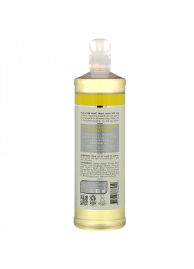 Fruit of the Earth, Meyer Lemon Dish Soap , 16 fl oz (473 ml)