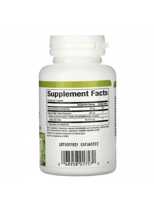 Natural Factors, Premium Milk Thistle, 160 mg, 60 Vegetarian Capsules