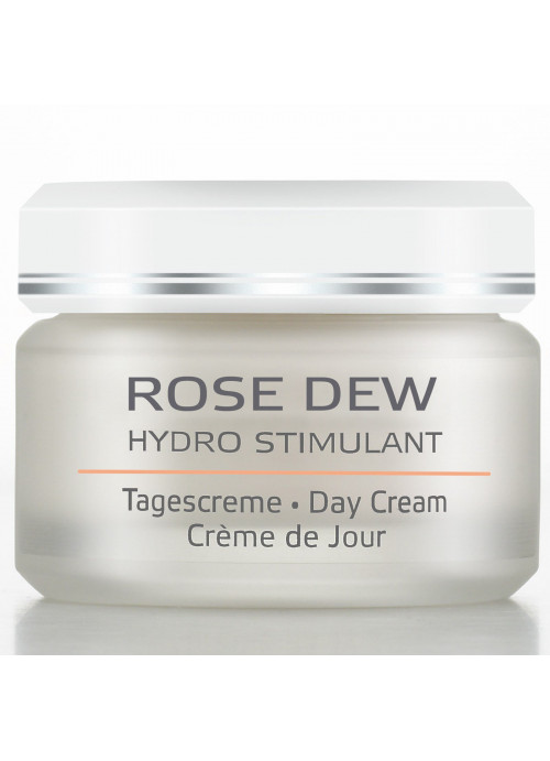 AnneMarie Borlind, Hydro Stimulant, Day Cream, Rose Dew, 1.69 fl oz (50 ml)