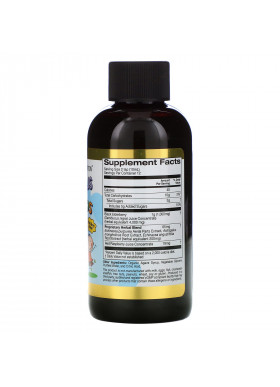 California Gold Nutrition, Sambucus for Kids, European Black Elderberry Syrup with Echinacea, 4 fl oz (120 ml)