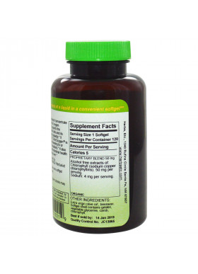 Herbs Etc., ChlorOxygen, Chlorophyll Concentrate, Alcohol Free, 120 Fast-Acting Softgels