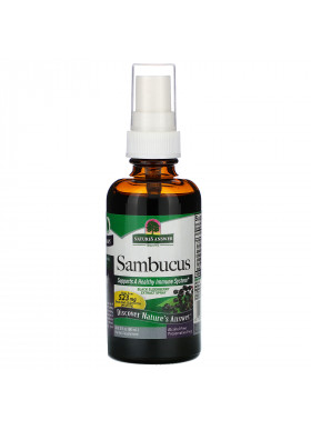 Nature's Answer, Sambucus, Black Elderberry Extract Spray, Alcohol-Free, 2 fl oz (60 ml)