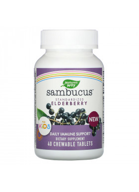 Nature's Way, Sambucus for Kids, Standardized Elderberry, 40 Chewable Tablets