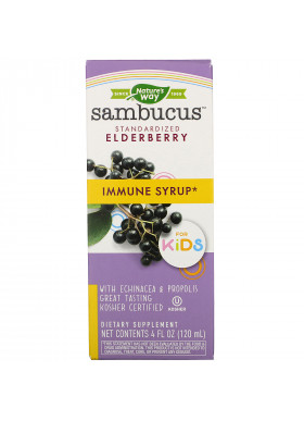 Nature's Way, Sambucus for Kids, Standardized Elderberry, Immune Syrup, 4 fl oz (120 ml)