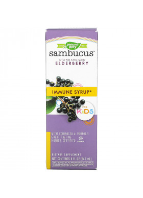 Nature's Way, Sambucus for Kids, Standardized Elderberry, Original Syrup, 8 fl oz (240 ml)