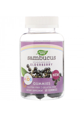 Nature's Way, Sambucus Gummies for Kids Standardized Elderberry, 60 Gummies