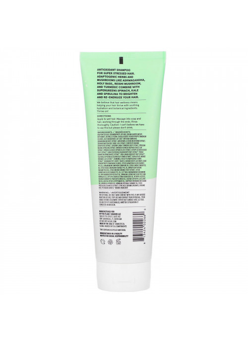 Acure, Juice Cleanse Supergreens & Adaptogens Shampoo, 8 fl oz (236.5 ml)
