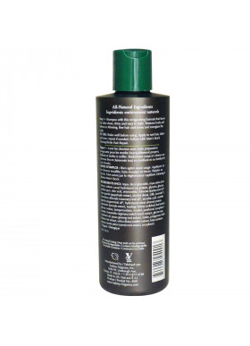 Aubrey Organics, Men's Stock, Shampoo, Ginseng Biotin , 8 fl oz (237 ml)