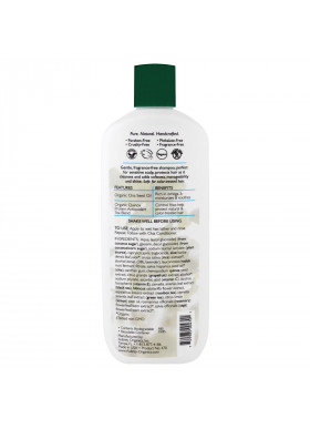 Aubrey Organics, Shampoo, Color Care, All/Sensitive, Chia, 11 fl oz (325 ml)