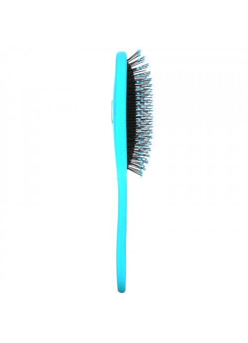 Conair, The Knot Dr, Pro Brite Wet & Dry Detangler, Blue, 1 Brush