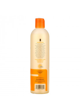 Earth Science, Citress Volumizing Shampoo, 12 fl oz (355 ml)