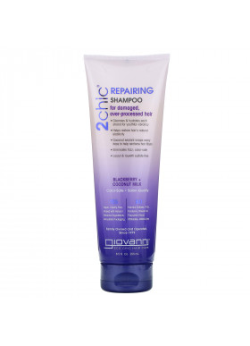 Giovanni, 2chic, Repairing Shampoo, for Damaged Over Processed Hair, Blackberry & Coconut Milk, 8.5 fl oz (250 ml)