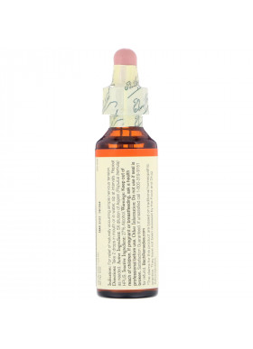 Bach, Original Flower Remedies, Aspen, 0.7 fl oz (20 ml)