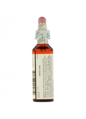 Bach, Original Flower Remedies, Cherry Plum, 0.7 fl oz (20 ml)