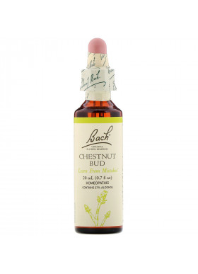 Bach, Original Flower Remedies, Chestnut Bud, 0.7 fl oz (20 ml)