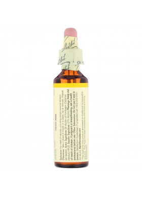 Bach, Original Flower Remedies, Hornbeam, 0.7 fl oz (20 ml)