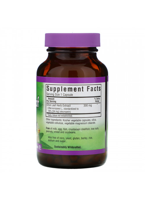 Bluebonnet Nutrition, Olive Leaf, Herb Extract, 120 Vegetable Capsules