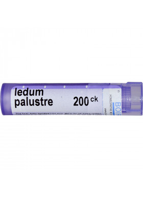 Boiron, Single Remedies, Ledum Palustre, 200CK, Approx 80 Pellets