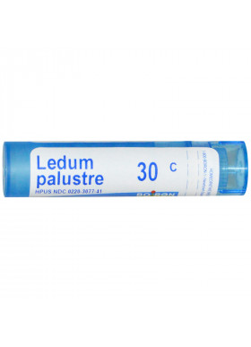 Boiron, Single Remedies, Ledum Palustre, 30C, 80 Pellets