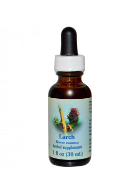 Flower Essence Services, Larch, Flower Essence, 1 fl oz (30 ml)