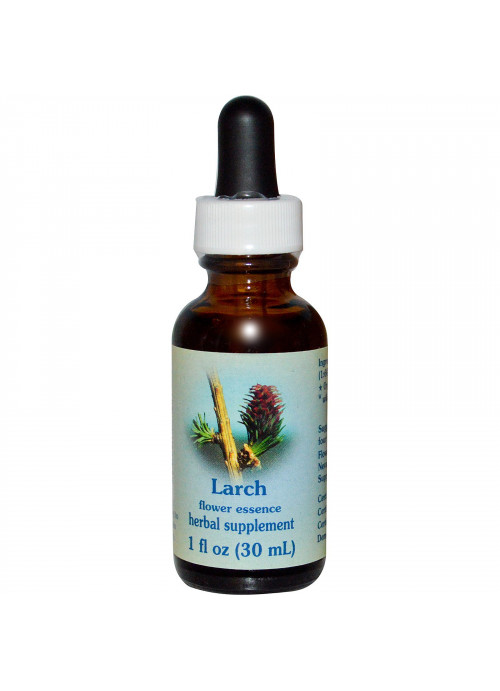 Flower Essence Services, Larch, Flower Essence, 1 fl oz (30 ml)