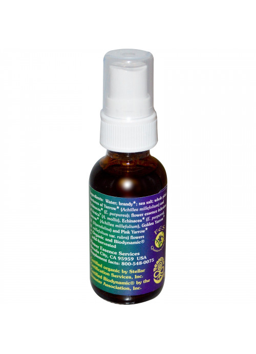 Flower Essence Services, Yarrow Environmental Solution Spray, 1 fl oz (30 ml)