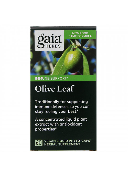 Gaia Herbs, Olive Leaf, 60 Vegan Liquid Phyto-Caps
