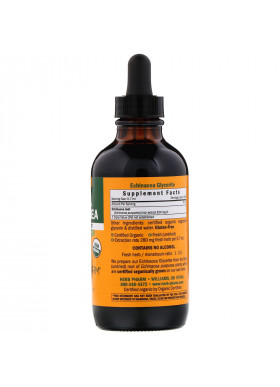 Herb Pharm, Echinacea, Alcohol-Free, 4 fl oz (120 ml)