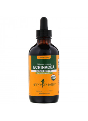 Herb Pharm, Echinacea, Alcohol-Free, 4 fl oz (120 ml)