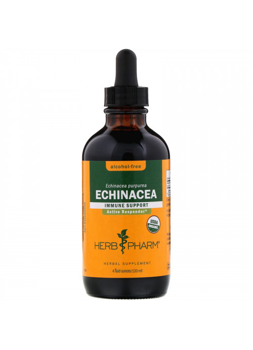 Herb Pharm, Echinacea, Alcohol-Free, 4 fl oz (120 ml)