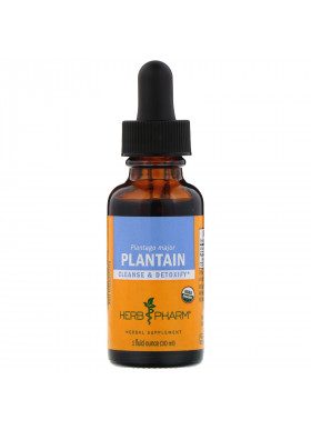 Herb Pharm, Plantain, Fresh Leaf, 1 fl oz (30 ml)