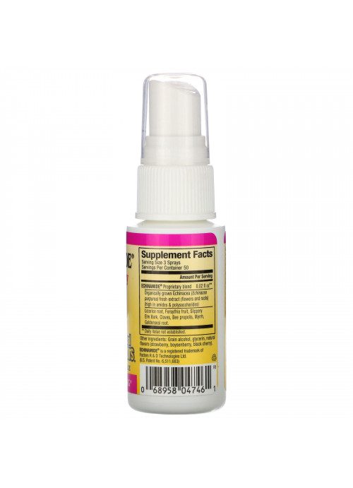 Natural Factors, Echinamide, Throat Spray Formula with Propolis, 1 fl oz