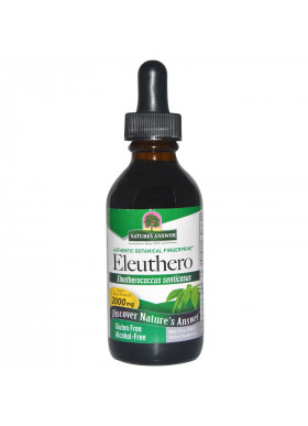 Nature's Answer, Eleuthero, Alcohol-Free, 2000 mg, 2 fl oz (60 ml)