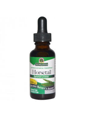 Nature's Answer, Horsetail, Alcohol-Free, 2000 mg, 1 fl oz (30 ml)