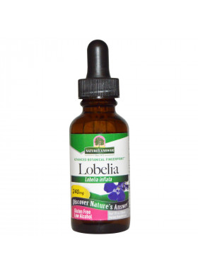 Nature's Answer, Lobelia, 240 mg, 1 fl oz (30 ml)