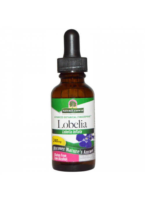 Nature's Answer, Lobelia, 240 mg, 1 fl oz (30 ml)