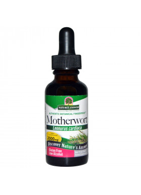 Nature's Answer, Motherwort, Low Alcohol, 2000 mg, 1 fl oz (30 ml)