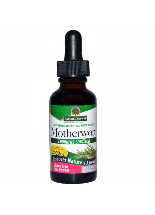 Nature's Answer, Motherwort, Low Alcohol, 2000 mg, 1 fl oz (30 ml)