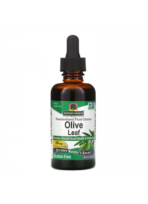 Nature's Answer, Olive Leaf, Alcohol-Free, 50 mg, 2 fl oz (60 ml)