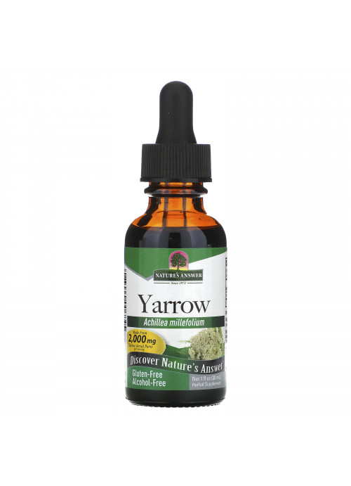 Nature's Answer, Yarrow, Alcohol-Free, 2,000 mg, 1 fl oz (30 ml)